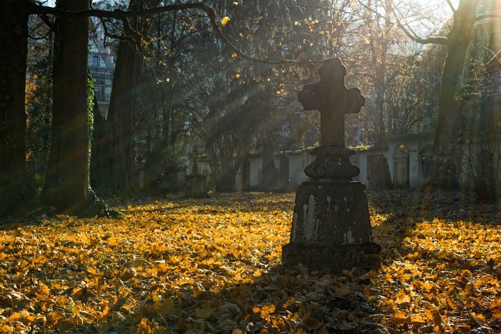 Zakład Pogrzebowy Marek Patalita - Boczów, gmina Łapanów